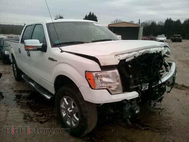 Фотография 1FTFW1EF3DFB63739 - FORD F150 2013