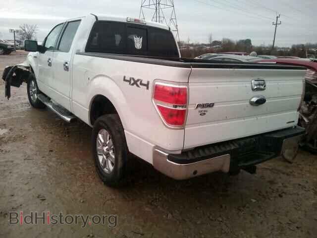 2013 FORD F150 - VIN: 1FTFW1EF3DFB63739 - Фото 3