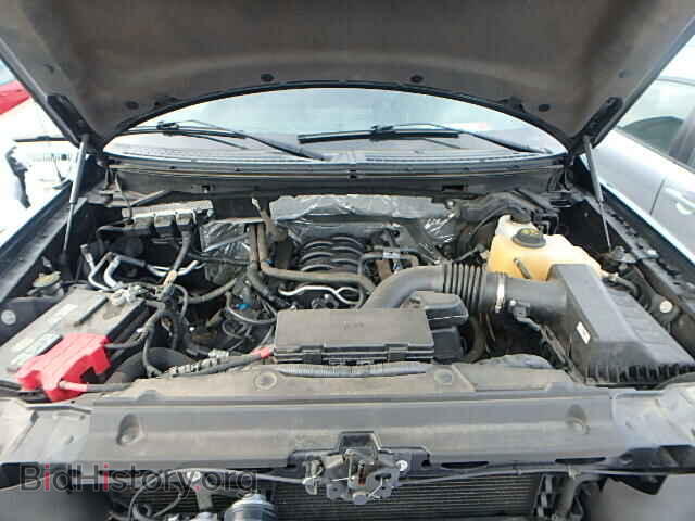2013 FORD F150 - VIN: 1FTFW1EF8DFD09018 - Фото 7