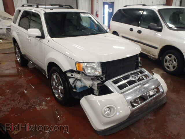 Photo 1FMCU94G89KD00847 - FORD ESCAPE 2009