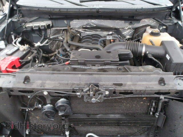 2013 FORD F150 - VIN: 1FTFW1CF8DFB00705 - Фото 7