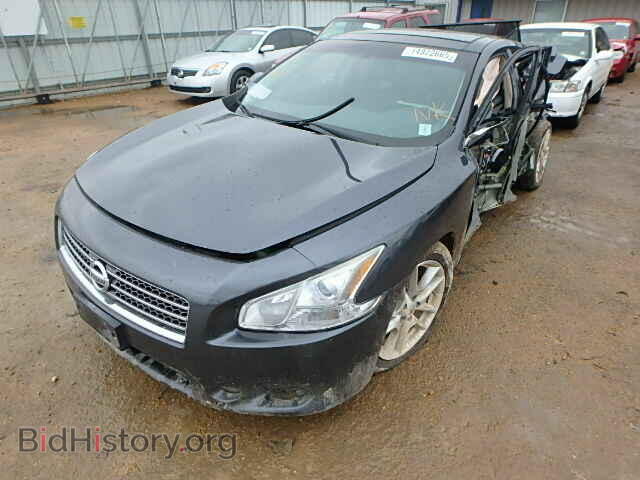 2010 NISSAN MAXIMA - VIN: 1N4AA5AP4AC815365 - Фото 2