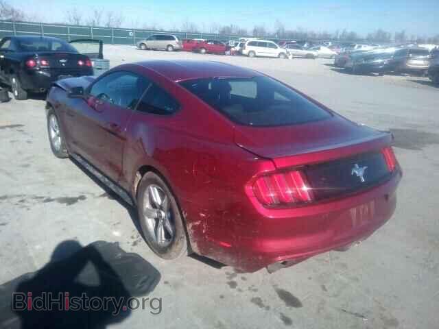 2015 FORD MUSTANG - VIN: 1FA6P8AM1F5376312 - Фото 3