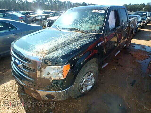 2013 FORD F150 - VIN: 1FTFW1EF3DFB84039 - Фото 2