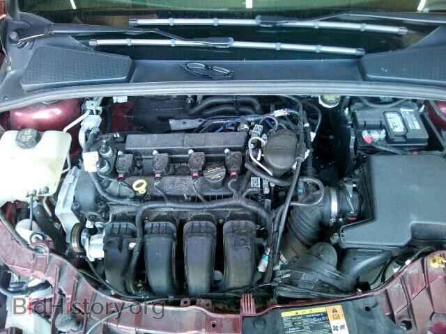 2014 FORD FOCUS - VIN: 1FADP3F2XEL233757 - Photo 7