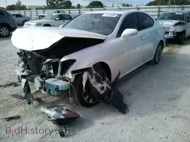 2010 LEXUS IS250 - VIN: JTHCF5C25A5037523 - Фото 2