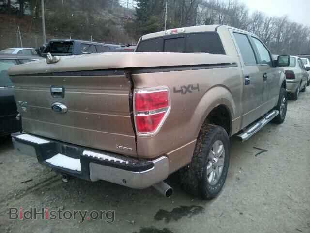 2013 FORD F150 - VIN: 1FTFW1EF3DFD65867 - Фото 4