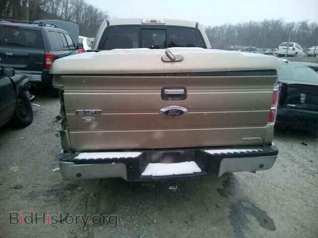 2013 FORD F150 - VIN: 1FTFW1EF3DFD65867 - Фото 9