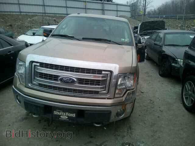 2013 FORD F150 - VIN: 1FTFW1EF3DFD65867 - Фото 10