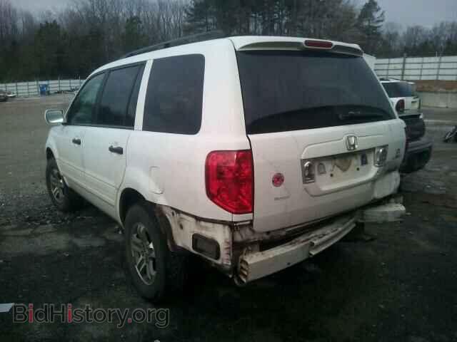 2005 HONDA PILOT - VIN: 5FNYF18475B014484 - Фото 3