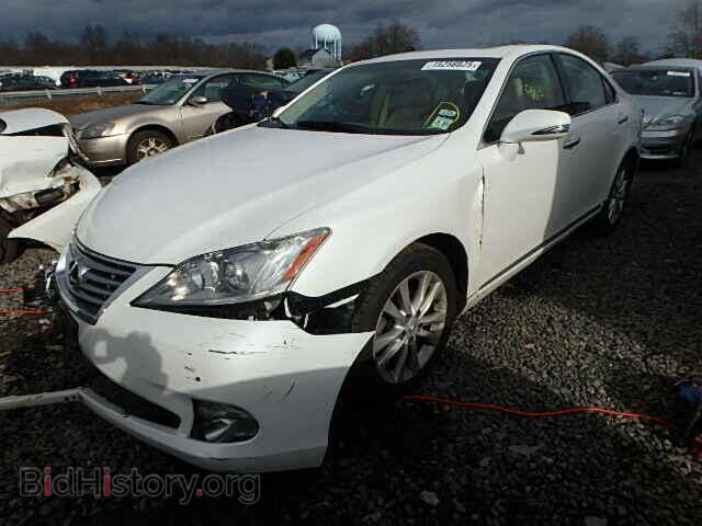 2010 LEXUS ES350 - VIN: JTHBK1EG5A2362585 - Фото 2