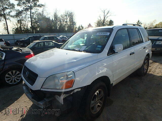 2005 HONDA PILOT - VIN: 2HKYF18755H568148 - Фото 2