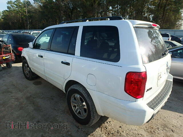 2005 HONDA PILOT - VIN: 2HKYF18755H568148 - Фото 3