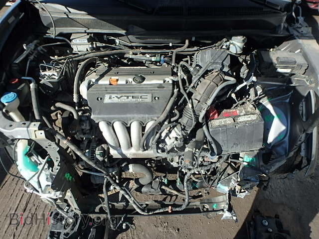 2005 HONDA ELEMENT - VIN: 5J6YH28655L021135 - Фото 7