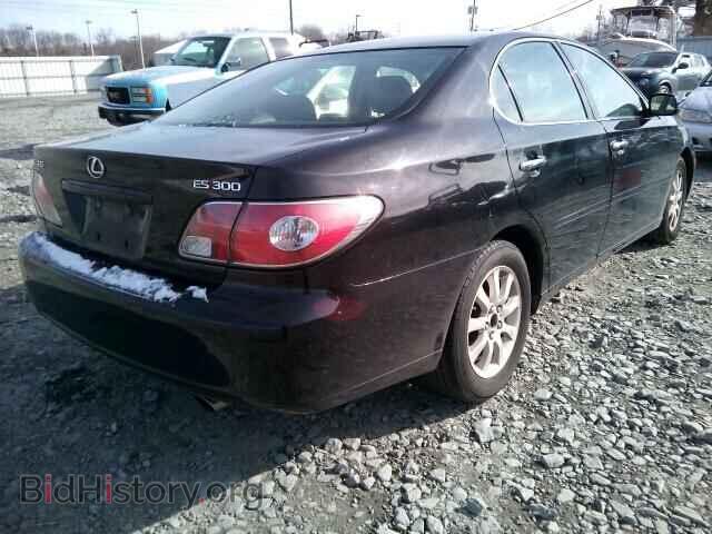 2002 LEXUS ES300 - VIN: JTHBF30G425034341 - Фото 4