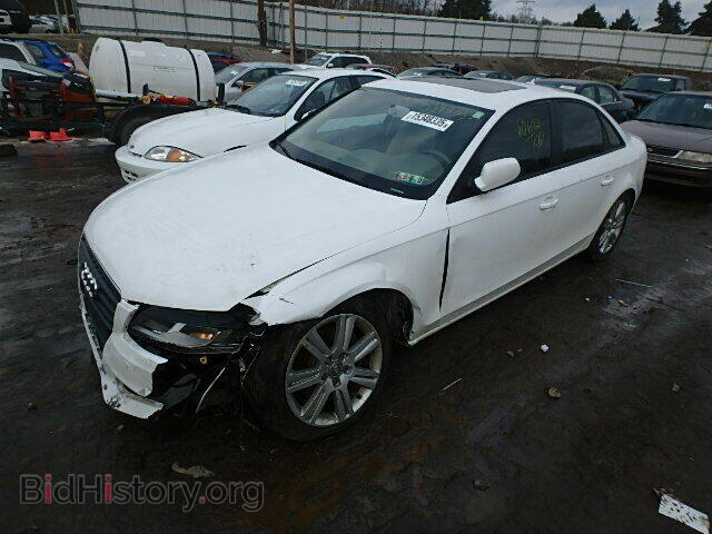 2011 AUDI A4 - VIN: WAUBFAFL5BN035389 - Фото 2