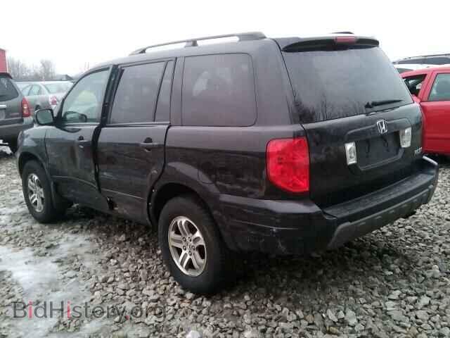 2005 HONDA PILOT - VIN: 5FNYF18525B020878 - Фото 3
