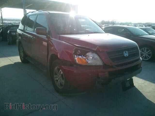 Фотография 5FNYF18655B006028 - HONDA PILOT 2005