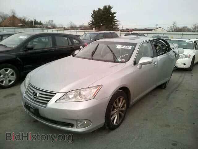 2011 LEXUS ES350 - VIN: JTHBK1EG9B2423504 - Фото 2