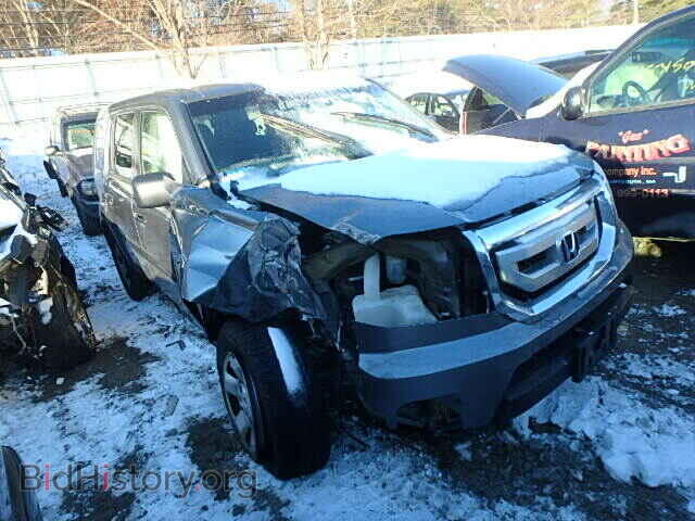 Фотография 5FNYF48279B054599 - HONDA PILOT 2009
