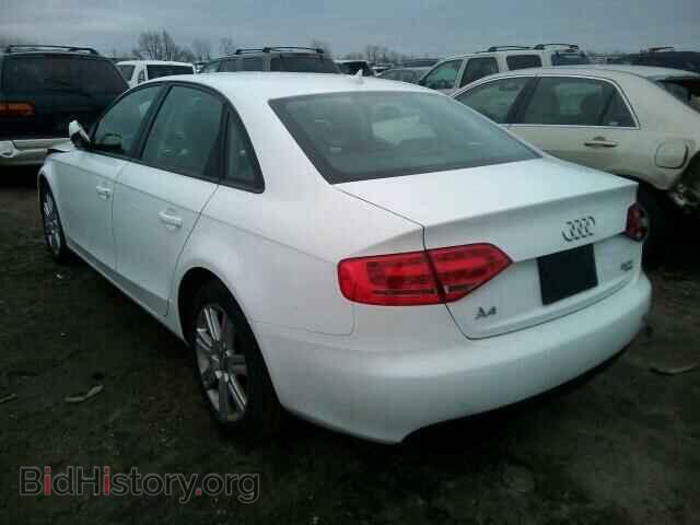 2010 AUDI A4 - VIN: WAUBFAFL9AN006573 - Фото 3