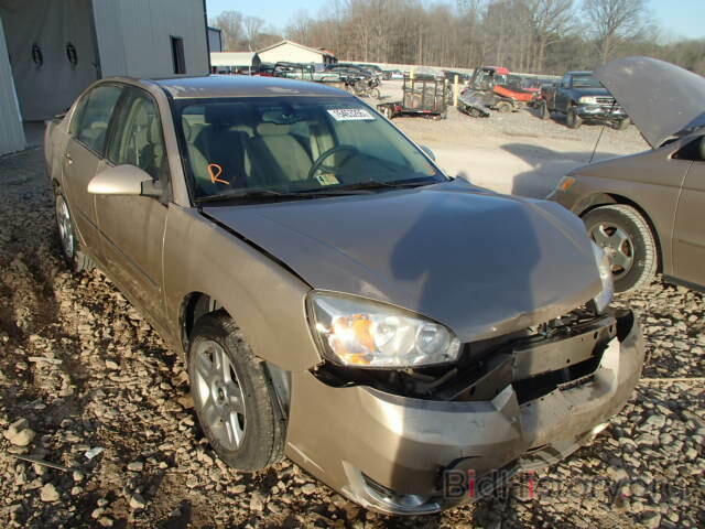 Photo 1G1ZT51836F259564 - CHEVROLET MALIBU 2006