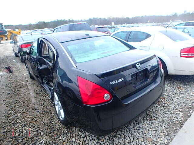 2005 NISSAN MAXIMA - VIN: 1N4BA41E05C823711 - Фото 3