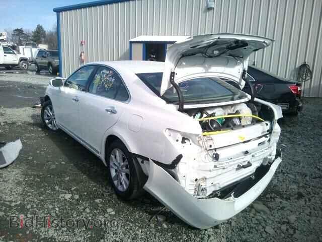 2010 LEXUS ES350 - VIN: JTHBK1EG6A2388046 - Фото 3
