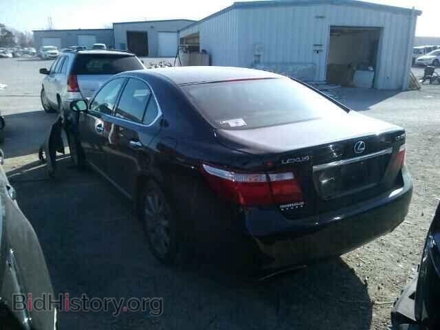 2007 LEXUS LS460 - VIN: JTHBL46F275013427 - Фото 3