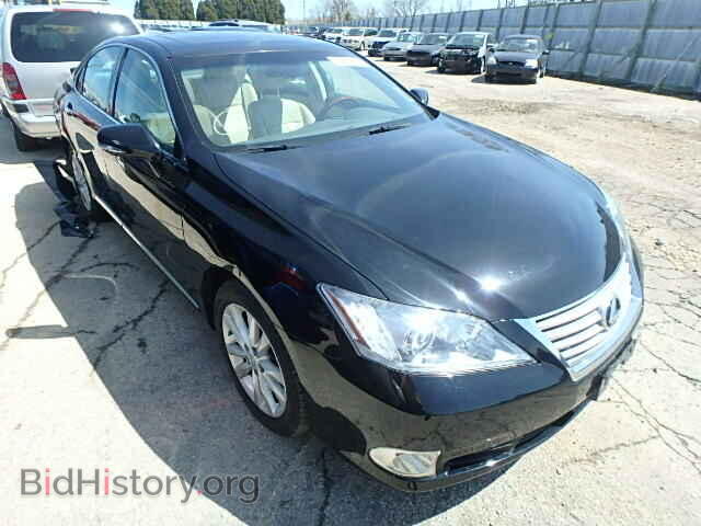Фотография JTHBK1EG9A2413425 - LEXUS ES350 2010