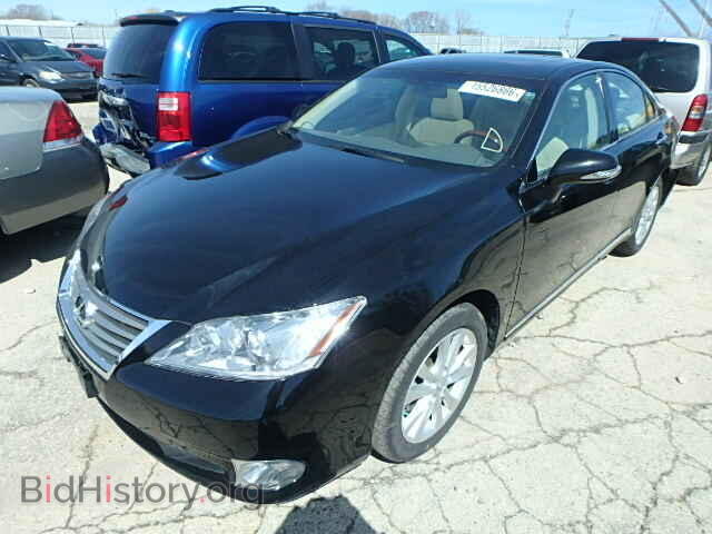 2010 LEXUS ES350 - VIN: JTHBK1EG9A2413425 - Фото 2