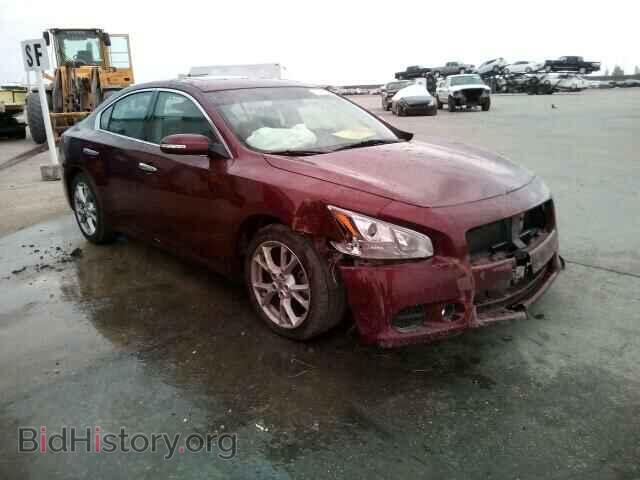 Фотография 1N4AA5AP1DC833164 - NISSAN MAXIMA 2013