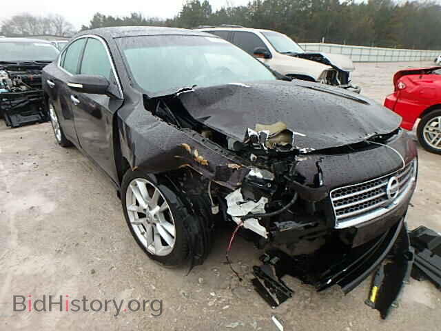 Фотография 1N4AA5AP1AC813699 - NISSAN MAXIMA 2010