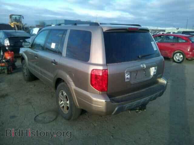 2005 HONDA PILOT - VIN: 5FNYF18435B008908 - Фото 3