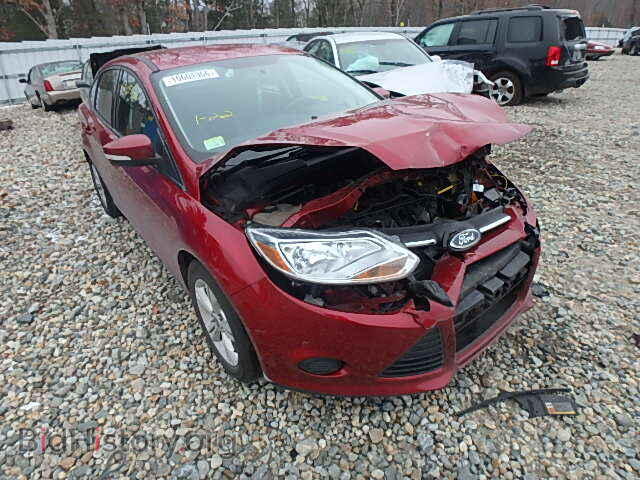 Photo 1FADP3F25DL206335 - FORD FOCUS 2013