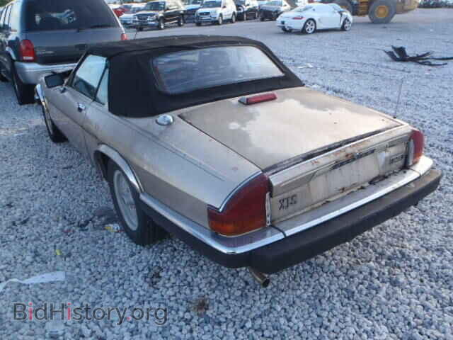 1991 JAGUAR XJS - VIN: SAJTW4843MC176492 - Фото 3