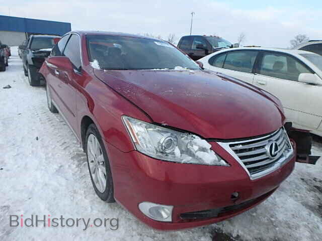 Фотография JTHBK1EG4A2387221 - LEXUS ES350 2010