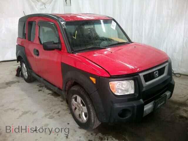 Photo 5J6YH28625L028558 - HONDA ELEMENT 2005
