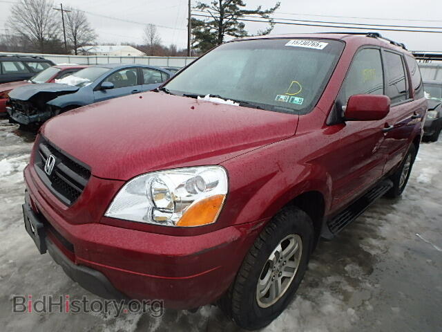 2005 HONDA PILOT - VIN: 2HKYF18555H518669 - Фото 2
