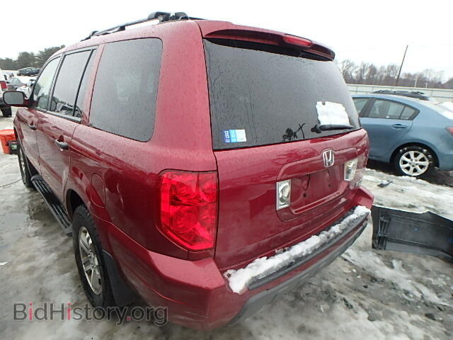 2005 HONDA PILOT - VIN: 2HKYF18555H518669 - Фото 3