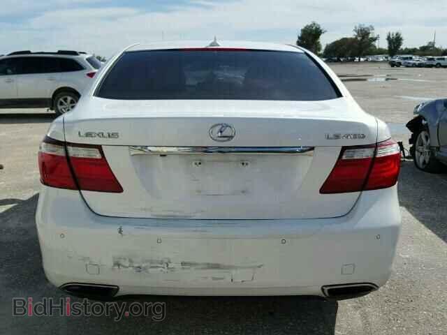 2007 LEXUS LS460 - VIN: JTHBL46F575042470 - Photo 9