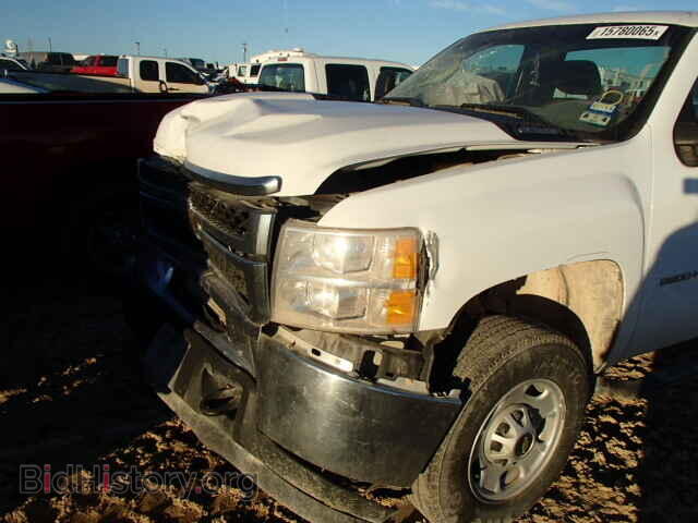 2011 CHEVROLET SILVERADO - VIN: 1GC0CVCG7BF208910 - Фото 9