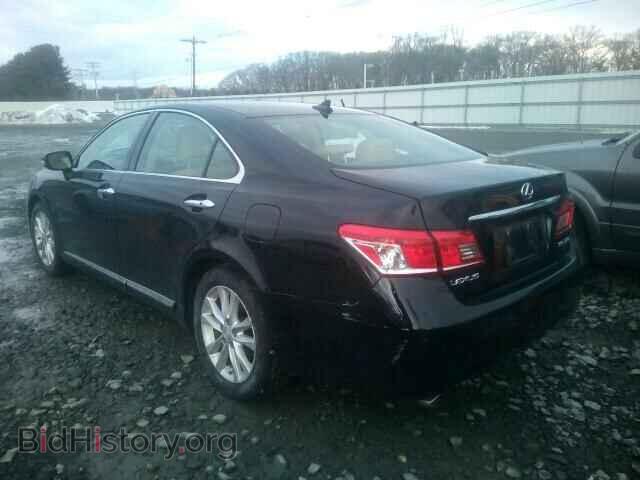 2010 LEXUS ES350 - VIN: JTHBK1EG6A2366967 - Фото 3