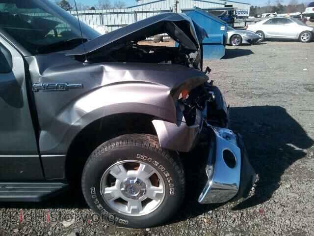 2013 FORD F150 - VIN: 1FTEW1CM3DFA20383 - Фото 10