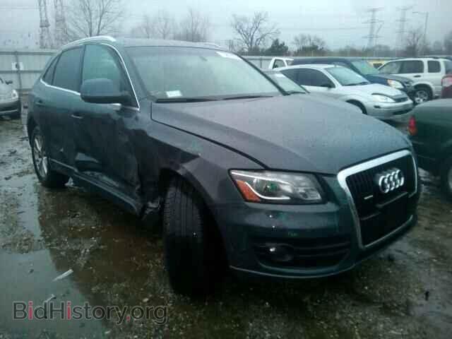 Фотография WA1LKAFP1AA060408 - AUDI Q5 2010