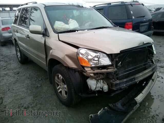 Фотография 5FNYF18585B064318 - HONDA PILOT 2005