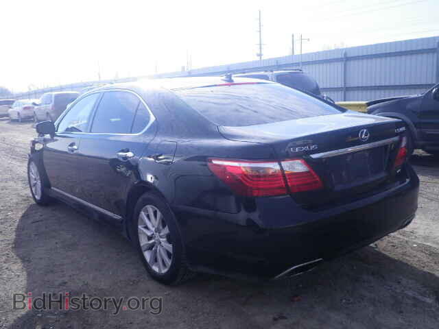 2010 LEXUS LS460 - VIN: JTHDL5EF5A5001425 - Фото 3