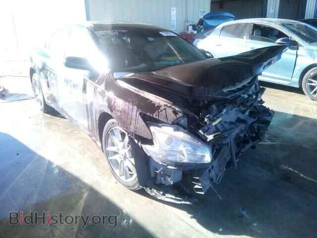 Фотография 1N4AA5APXAC829478 - NISSAN MAXIMA 2010