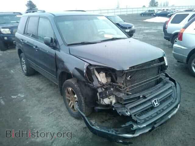 Фотография 2HKYF18475H506174 - HONDA PILOT 2005