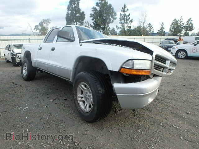 Фотография 1D7HG48N13S299552 - DODGE DAKOTA 2003